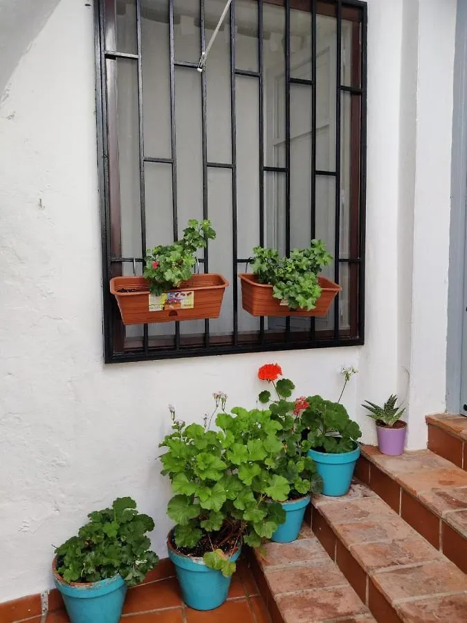 Vivienda Turistica De Alojamiento Rural Casa Arenalejos Apartamento Vejer de la Frontera